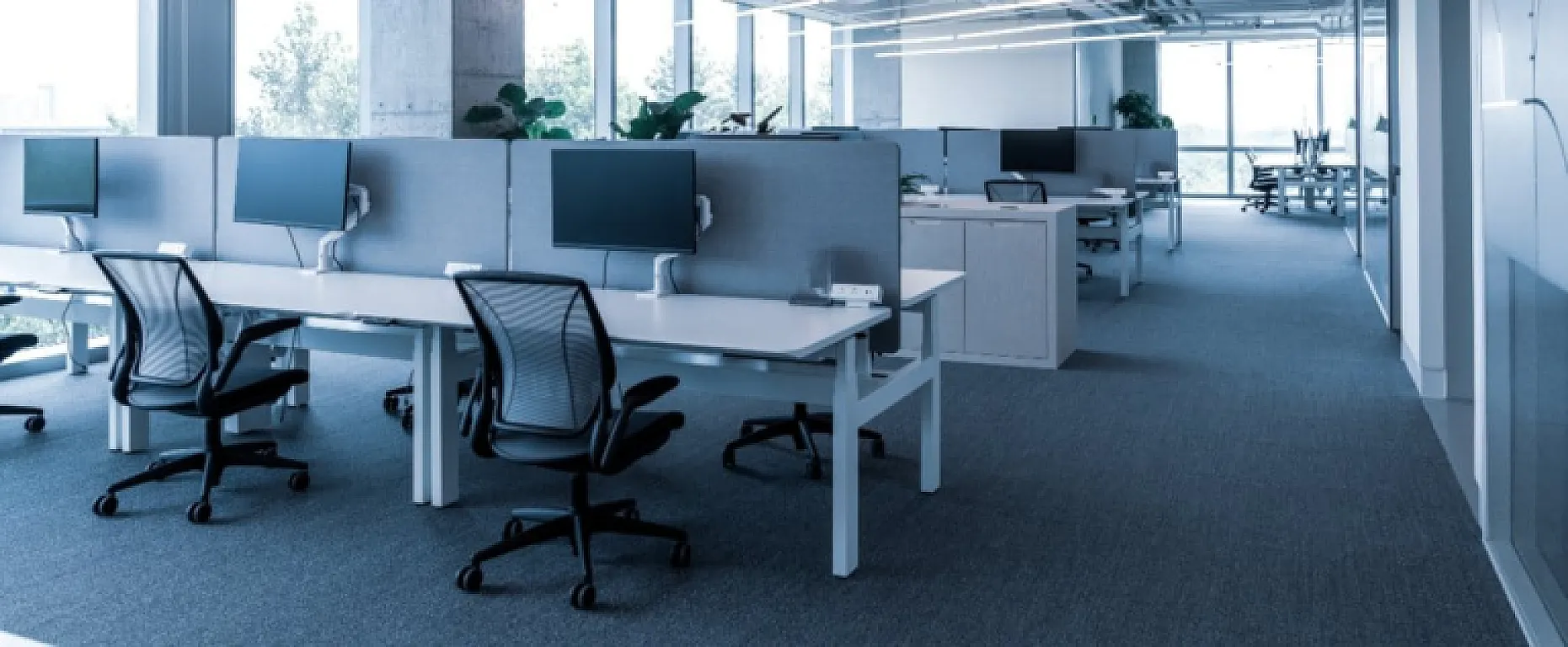 Efficient Desk Layouts to Boost Workplace Focus