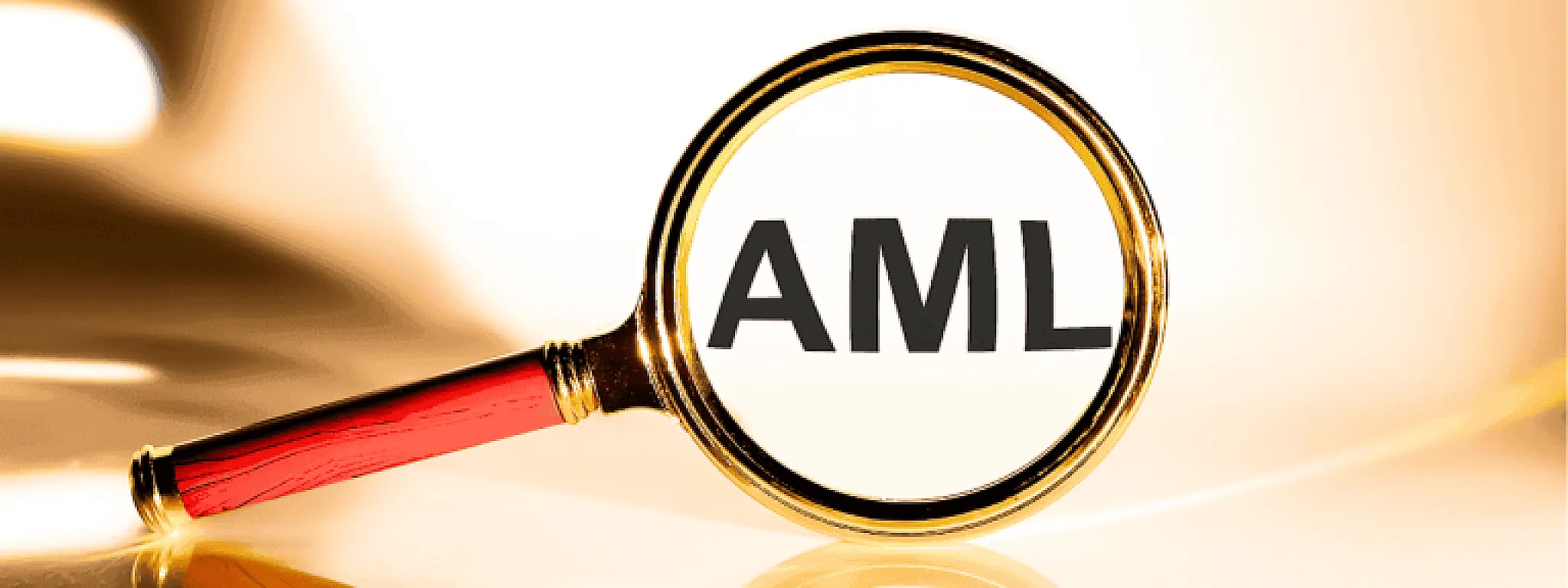 Navigating Anti-Money Laundering (AML) Regulations Across the Globe