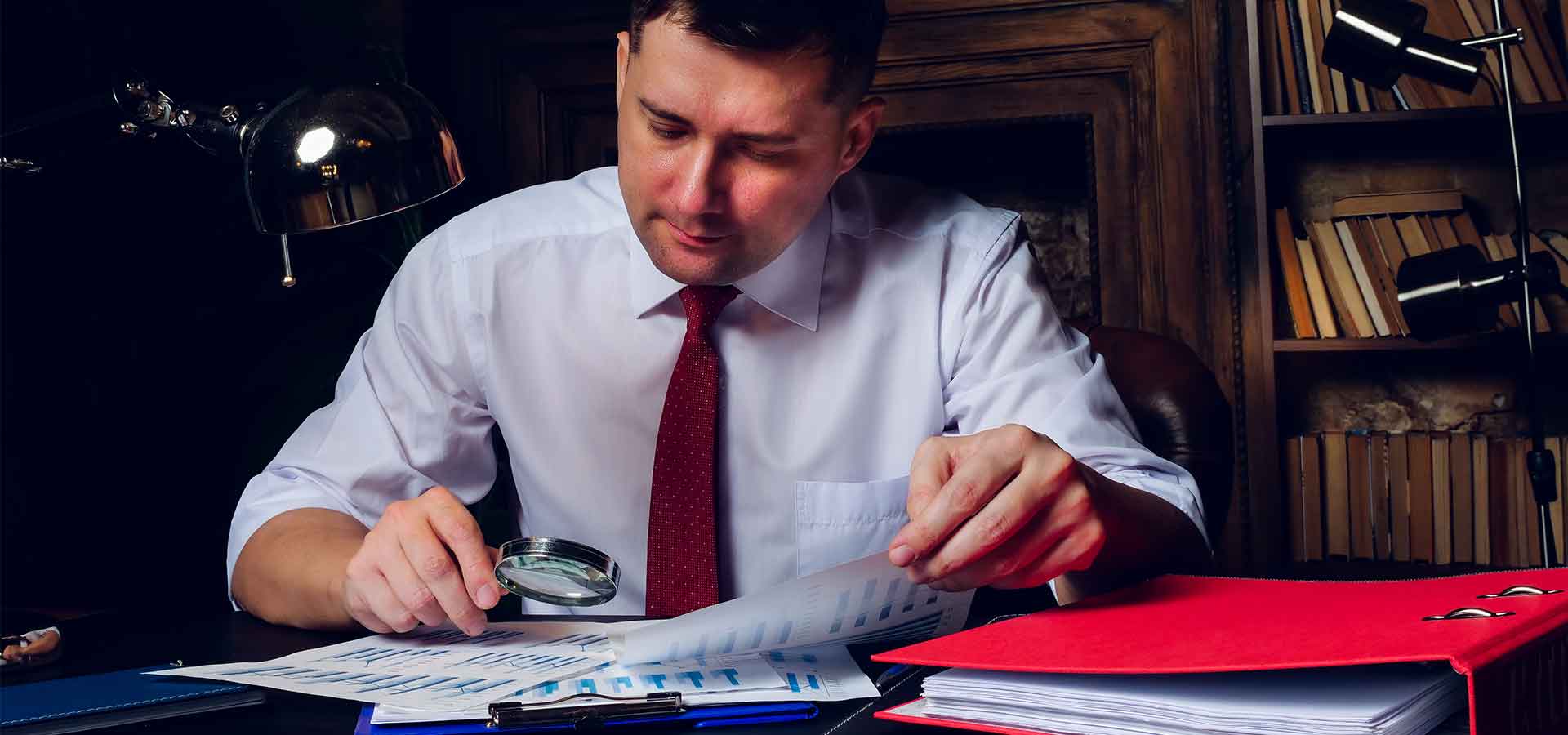 Consultancy Skills for Auditors