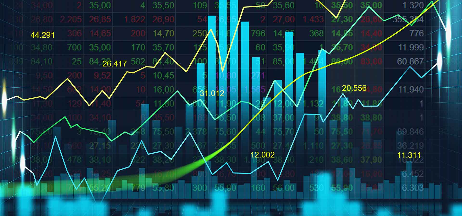 International Public Sector Accounting Standards (IPSAS)