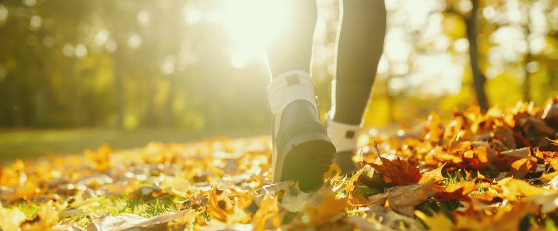 How Nature Walks Contribute to Mental Health